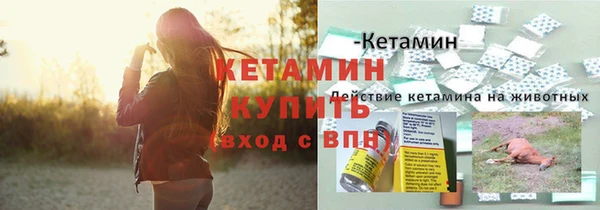 СК Балахна