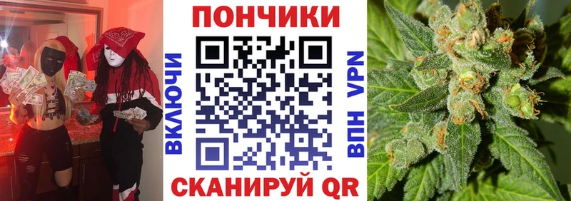 купить закладку  Нязепетровск  маркетплейс какой сайт  Бошки марихуана SATIVA & INDICA 